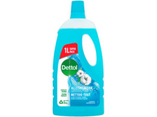 Alleseiniger oceaan
