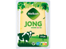 Kaasstuk Goudse jong