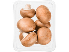 Kastanje Champignons product foto