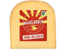 Jong belegen kaasstuk product foto