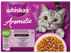 Aromtatic selection in saus product foto