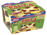 Paula vanillevla met chocoladevlekken