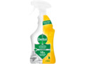 Power reiniger spray citrus