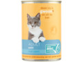 Adult pate met zalm kat