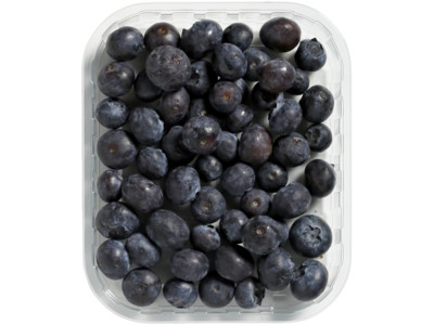 Blauwe bessen product foto