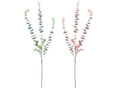 Kipburger spek gemarineerd product foto